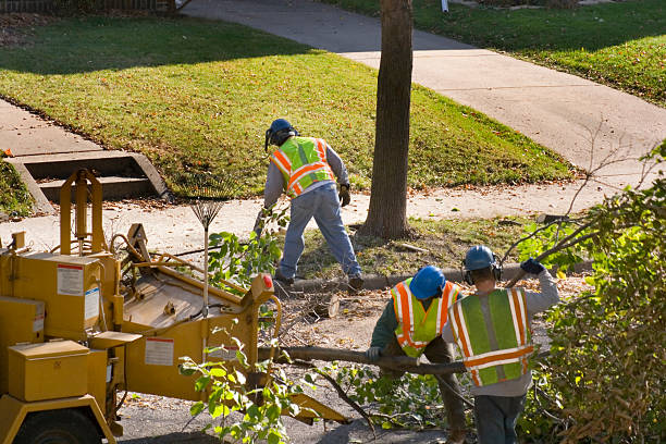 Lawn Pest Prevention in Dunlap, IN